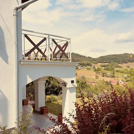 Pensionat Delibab Vendeghaz