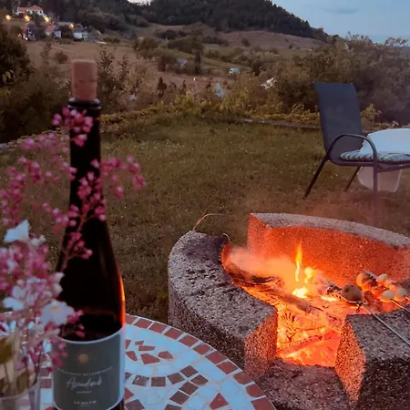 Pensionat Delibab Vendeghaz 4*